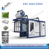 EPS Machinery for Fish Boxes