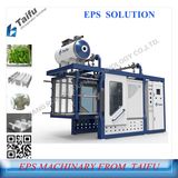 EPS Machinery for Fish Boxes