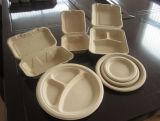 Biodegradble Tableware