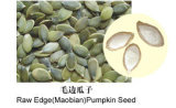 Raw Edge Pumpkin Seed