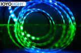 New Magic SMD 5050 LED Strip Light