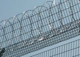 Razor Barbed Wire Mesh