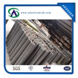 Stainless Steel Wire Mesh