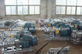 Hot Oil Circulation Pump with Ex Motor