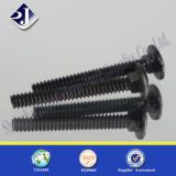 Round Head Square Neck Bolt with Black Surface