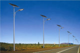 50W Solar LED Street Light Economic Design