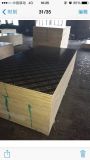 15mm Brown Black Film Faced Plywood From China (w16011)