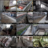 Control Center of Poultry Equipment