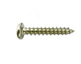 Pan Head Self Tapping Screw Hot Fastener