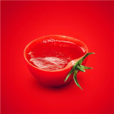 100% Pure Natural Canned Tomato Paste Made in Xinjiang