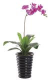 Eco-Friendly Artificial Flower Leaf Bonsai Artificial Plant/Artificial Plant Bonsai 243
