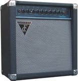 Guitar Amplifiers (G-30)