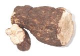 Poria Cocos Extract 30%-50%; GMP/HACCP Certificate