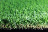 SGS Feild Landscaping Grass