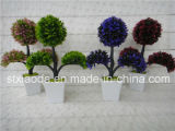 Artificial Plastic Potted Flower (XD14-26)
