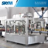 Automatic Pet Bottled Carbonated Drink Filling Machine/Beverage Bottling Equipmemt