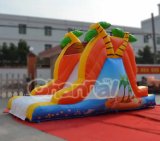 Hot Sale Inflatable Beach Slide Water Slide