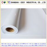 260GSM RC Glossy Inkjet Photo Paper for Pigment, Dye Ink