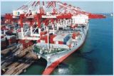 Logistics Service&Shipping Service&Ocean Freight From Shenzhen China-Malt