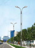 6m/12m High Quality Electric Power Street Light LED Light (JS-B20156260)