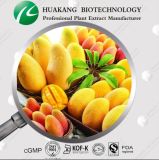 100% Natural High Quality African Mango Seed Extract