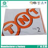 Plastic Packing Mailer Courier Bag (zzpm225)