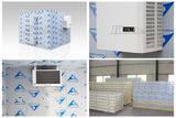 Signal Phase Power Supply Clod Room for Storing Flowers/Fruits/Vegetables