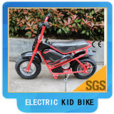 Electric Quad Bike for Kids 24V