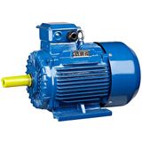 Yaeef Series Triphase Electric Motor