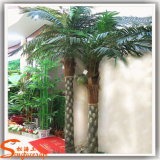 Different Type Artificial Fern Palm Tree on Hot Sale