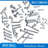 Stainless Steel Nut