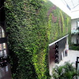 UV Protective Outdoor Decoration Artificial Plant Wall (SJ)