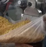 Small Snack Food Processing Plant