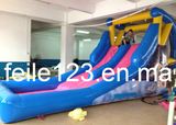 2013 Inflatable Commercial Water Slide