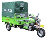 Tricar, Trimoto, Three Wheel, Tricycle with Cargo Loading Passenger Seat