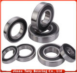 Factory Stainless Steel Ball Bearings