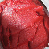 Wholesale High Quality Tomato Paste in Drum