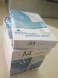 Professional Manufacturer of A4 A3 Copy Paper