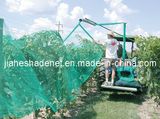 Anti-Bird Netting, HDPE Anti-Bird Net