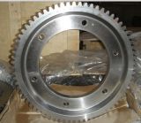 OEM Gears with Casting or Machining or Forging Process