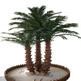 New Product 2014 Artificial Plam Tree Bonsai