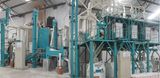 50ton Per Day Maize Flour Mill