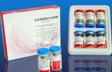 Cerebroprotein Hydrolysate for Injection