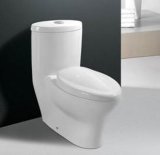 Ceramic Toilet (G-5569)