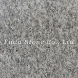 Classic Gray Granite (FD-055)