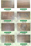 Barbecue Equipment-All Kinds of Cooking Grid