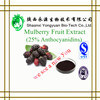 Mulberry Fruit P. E Anthocyanin25%