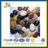 Colorful Cobblestone Pebble Stone for Landscape/Paving (YQG-LS1004)