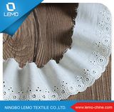 Jacquard and Textornic Nylon Tc Embroidery Lace