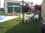 Artificial Grass, Garden Grass, Landscaping Grass (L30-C)